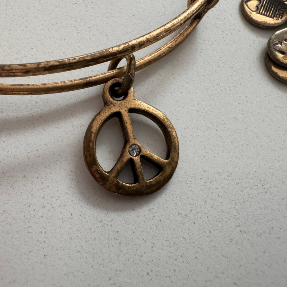 Alex & Ani Gold Charm Bangle Set - Picture 4 of 4